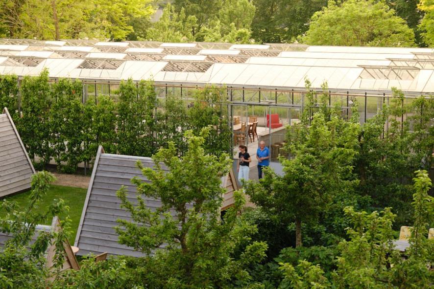 Achterhoeks Goed, Minicamping In Vragender Ngoại thất bức ảnh