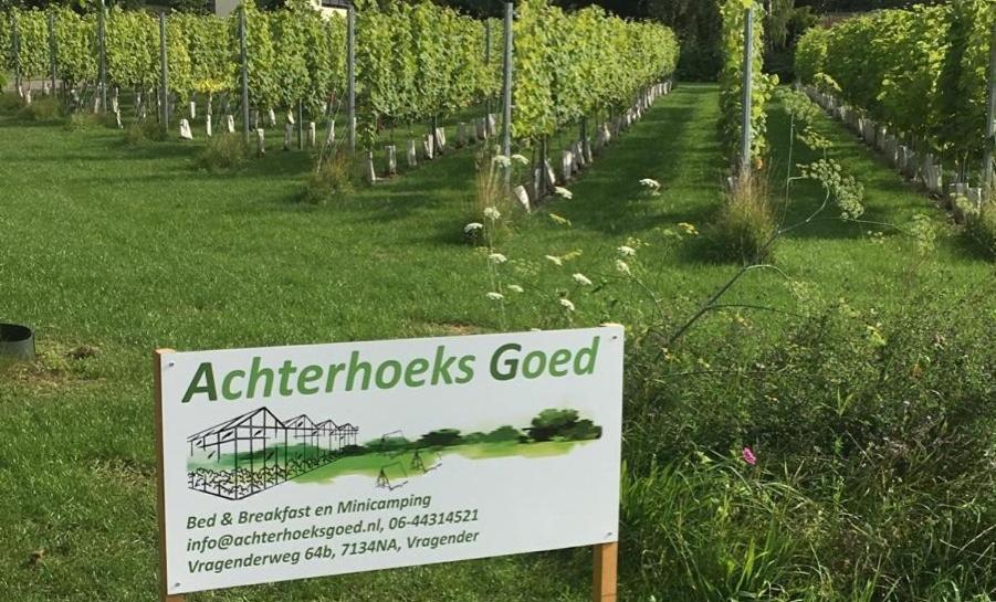 Achterhoeks Goed, Minicamping In Vragender Ngoại thất bức ảnh